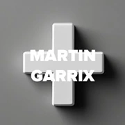 DFM Martin Garrix логотип