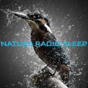 NATURE RADIO SLEEP логотип